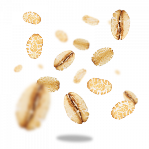 Fiocchi Grandi di Avena Integrale