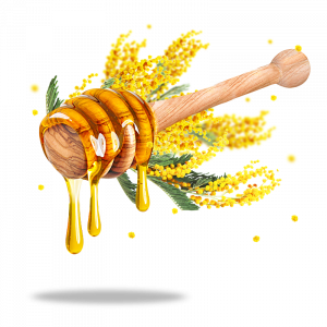 Italian Acacia Honey
