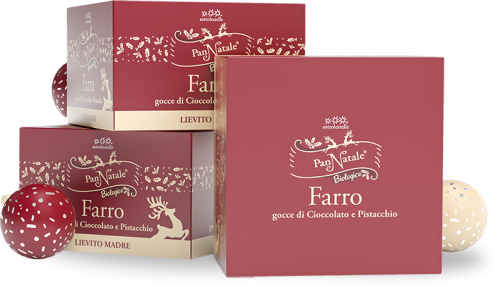 PanNatale di Farro con gocce di Cioccolato