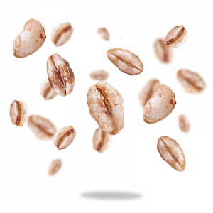 Puffed oat grains