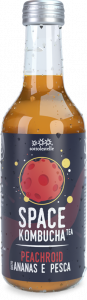 Space Kombucha Gusto Ananas e Pesca